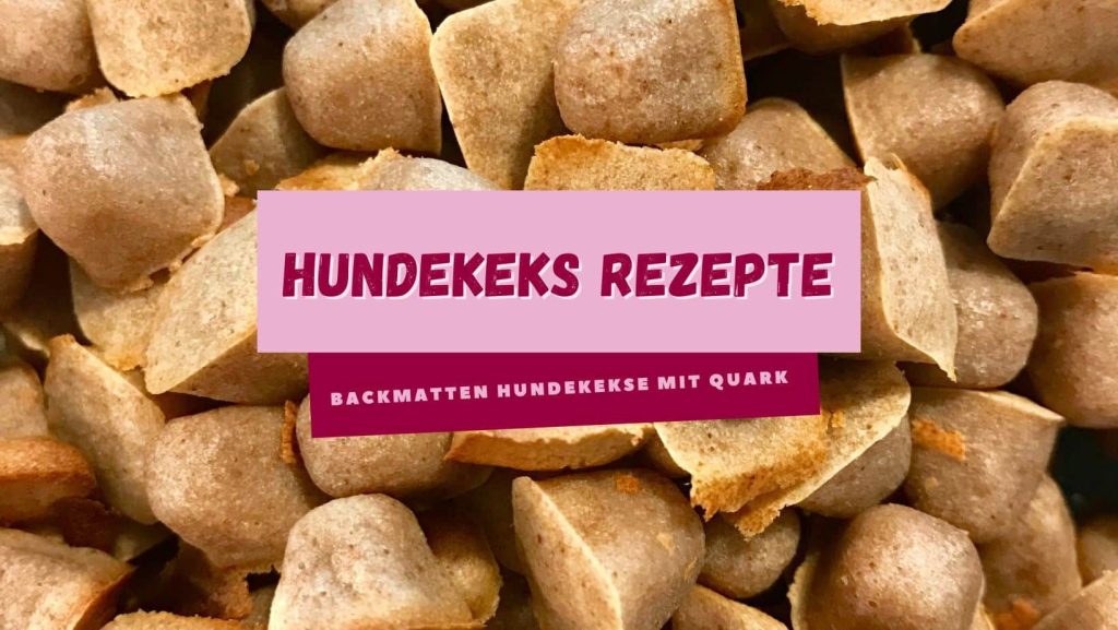 Rezept: Backmatten-Hundekekse mit Quark