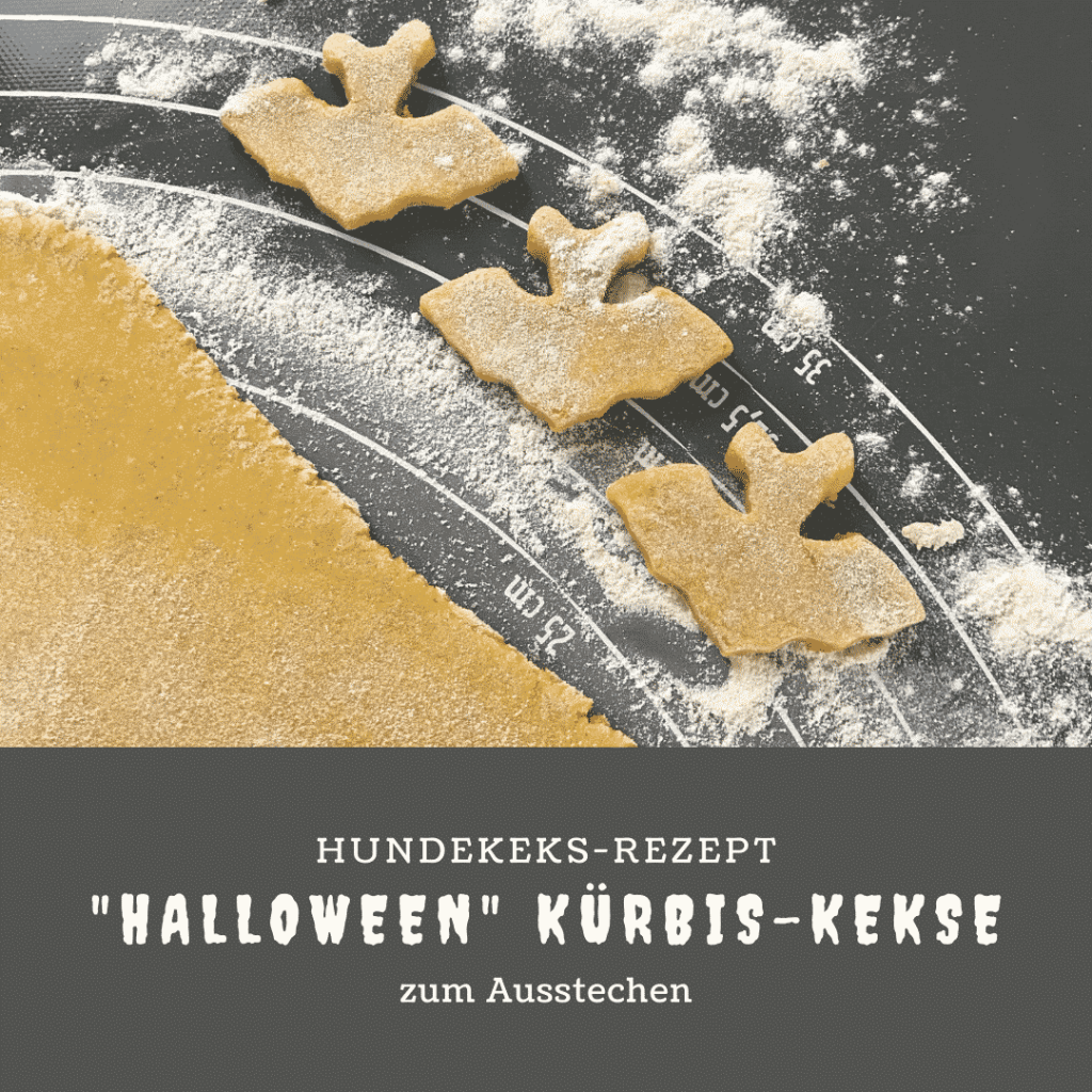Hundekeks-Rezept zum Ausstechen: „Halloween“ Kürbis-Kekse