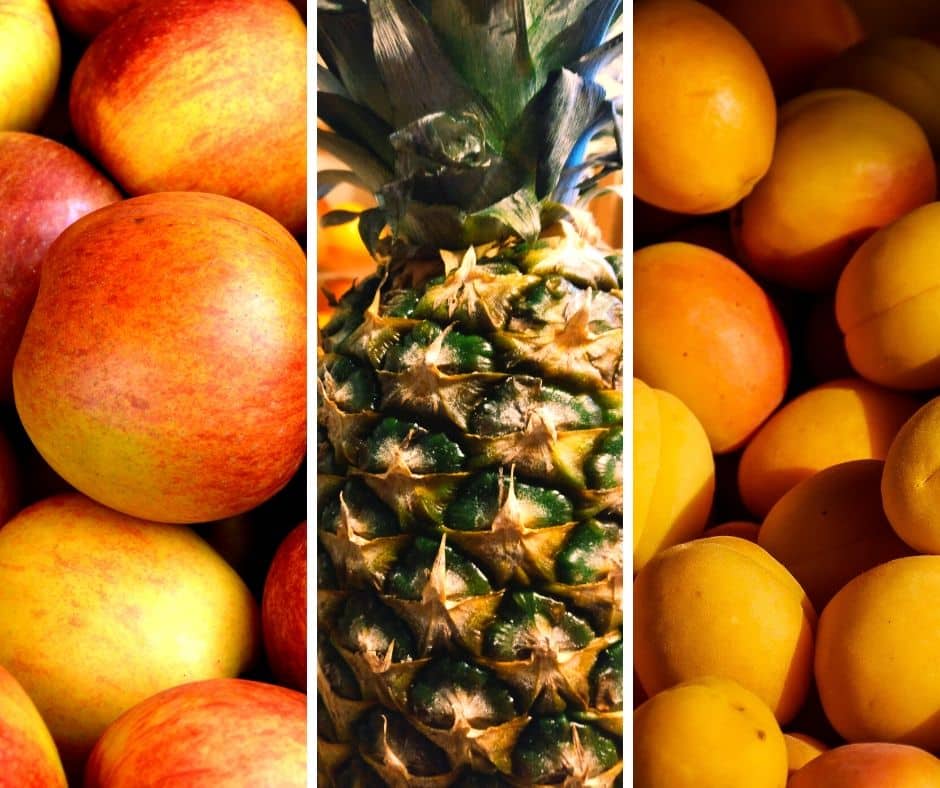 Geeignetes Obst für Hunde – Teil 1 – Äpfel / Ananas und Aprikosen