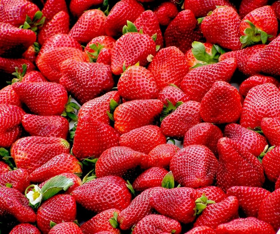 Geeignetes Obst für Hunde – Teil 3 – Datteln / Erdbeeren und Feigen