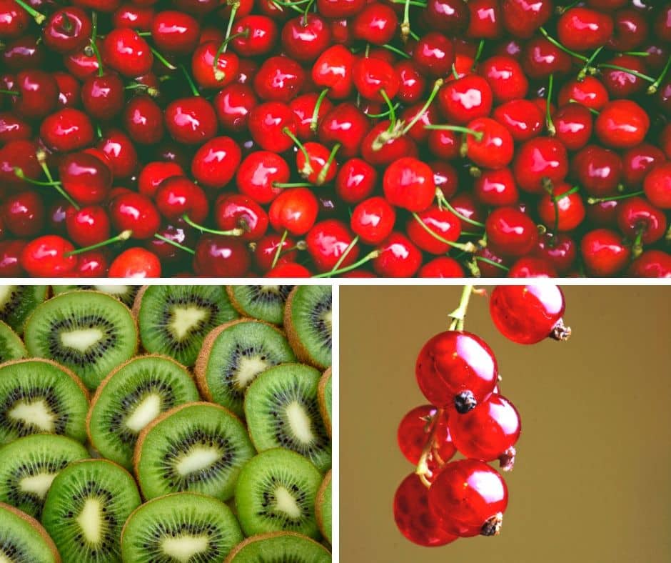 Geeignetes Obst für Hunde – Teil 5 – Johannisbeeren / Kirschen und Kiwis