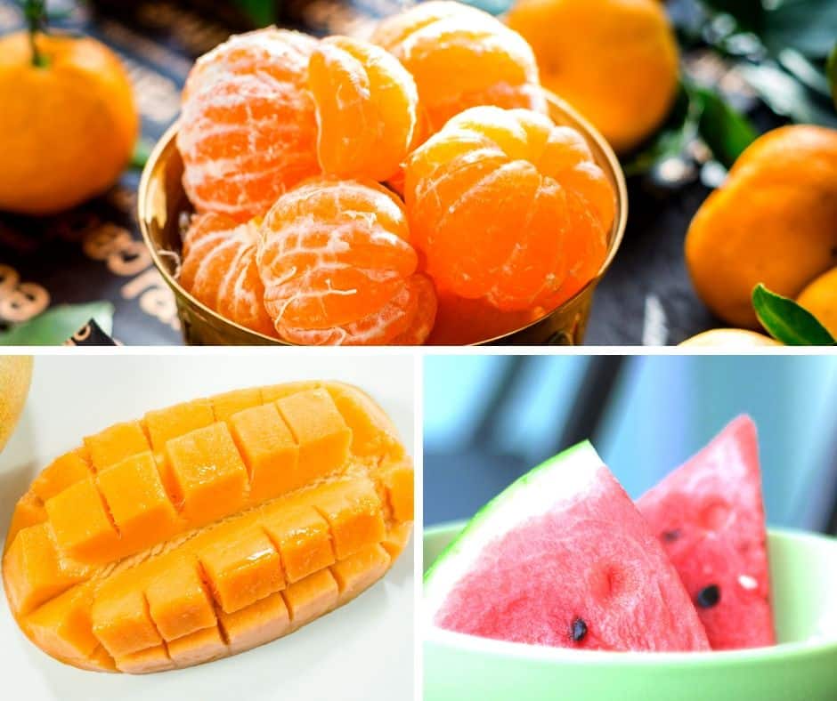 Geeignetes Obst für Hunde – Teil 6 – Mandarinen / Mangos und Melonen