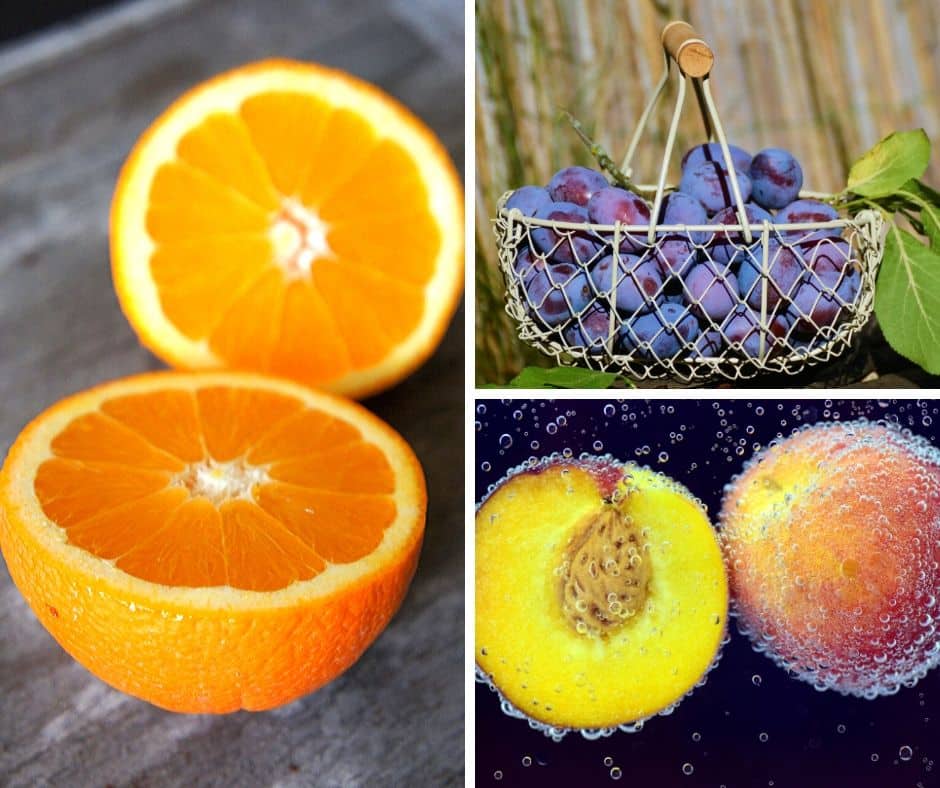 Geeignetes Obst für Hunde – Teil 7 – Orangen / Pfirsiche und Pflaumen
