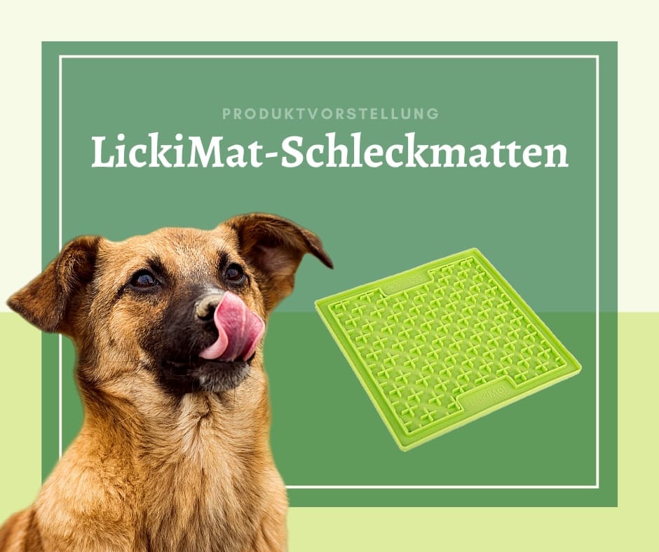 Produktvorstellung: LickiMat – Schleckmatten