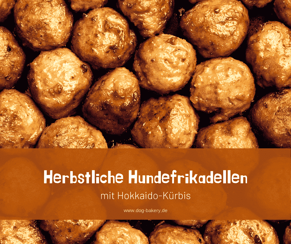 Herbstliche Hundefrikadellen mit Hokkaido-Kürbis