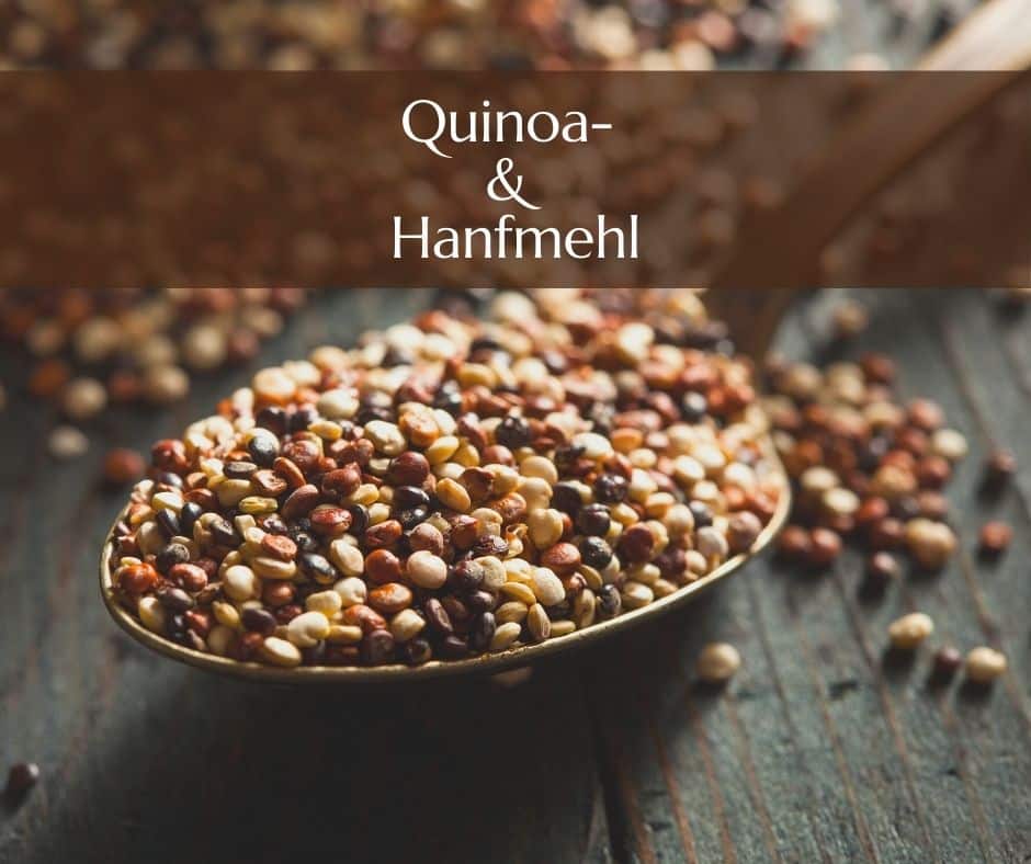 Themenreihe: Quinoa- und Hanfmehl