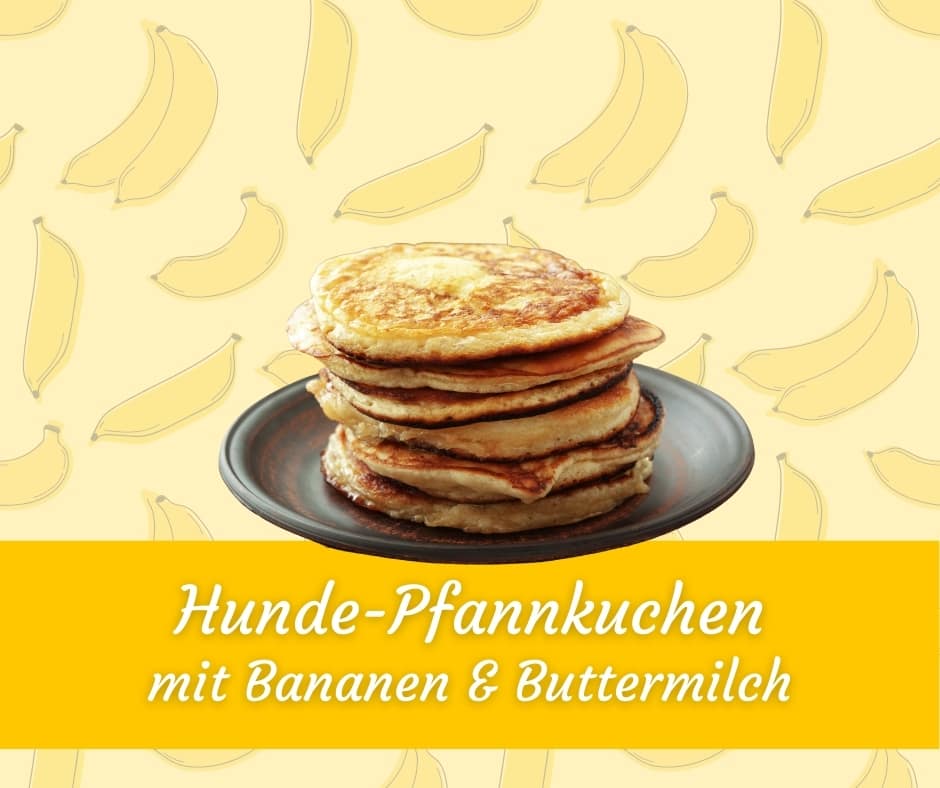 Pfannkuchen für Hunde mit Banane