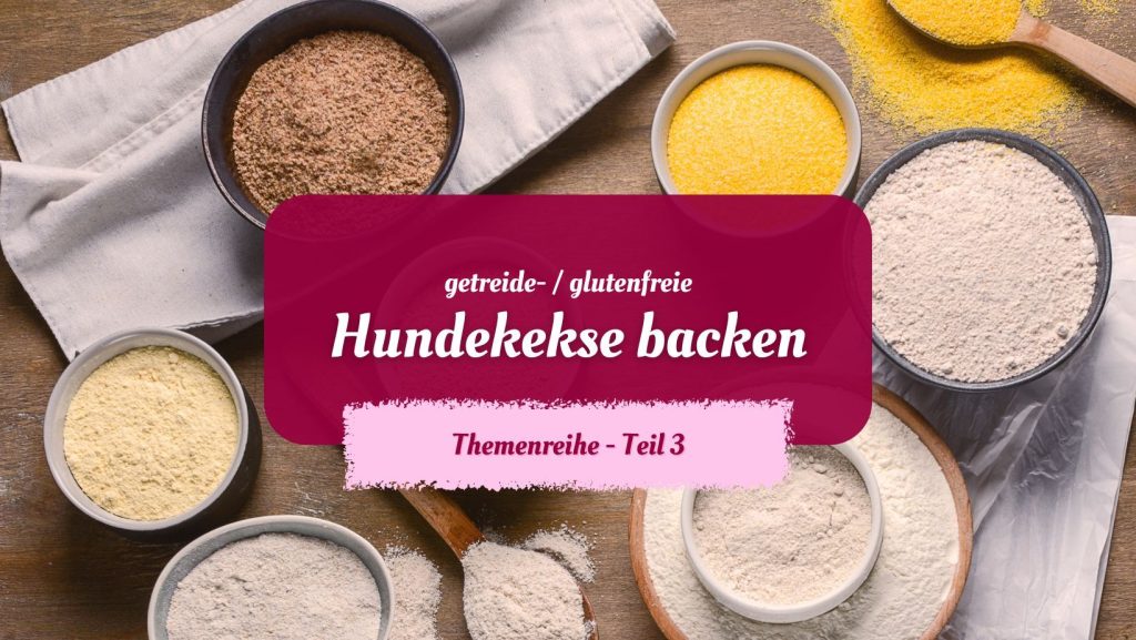 Hundekekse backen mit gluten- und getreidefreiem Mehl – Teil 3