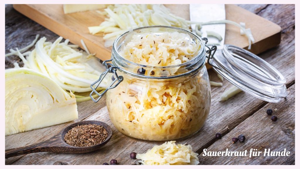 Dürfen Hunde Sauerkraut essen?