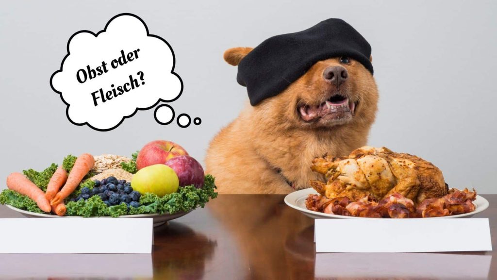 Was kann ich tun, wenn mein Hund keine Kekse mag?